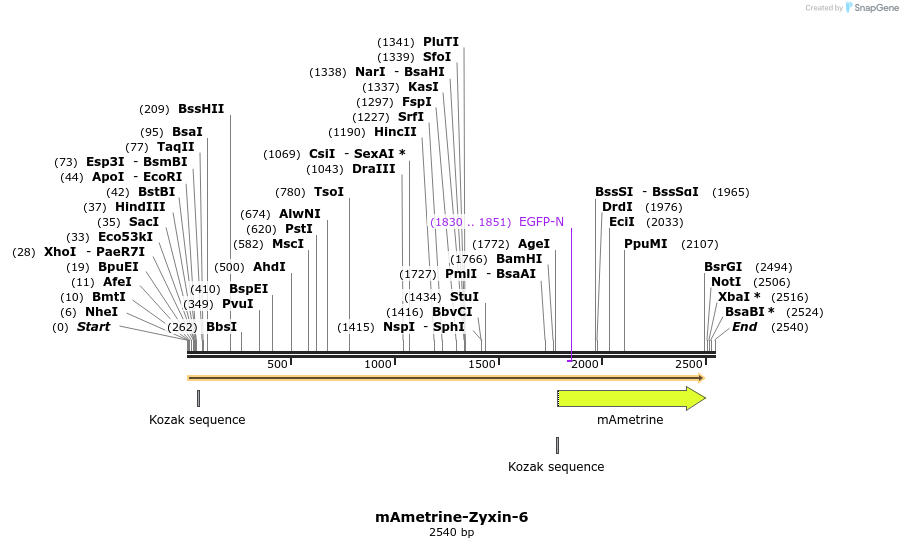 87441_map