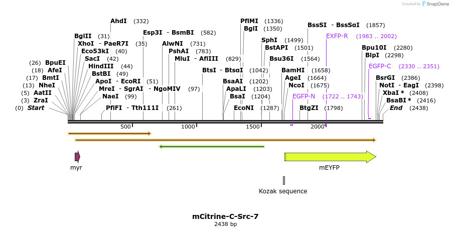 87445_map