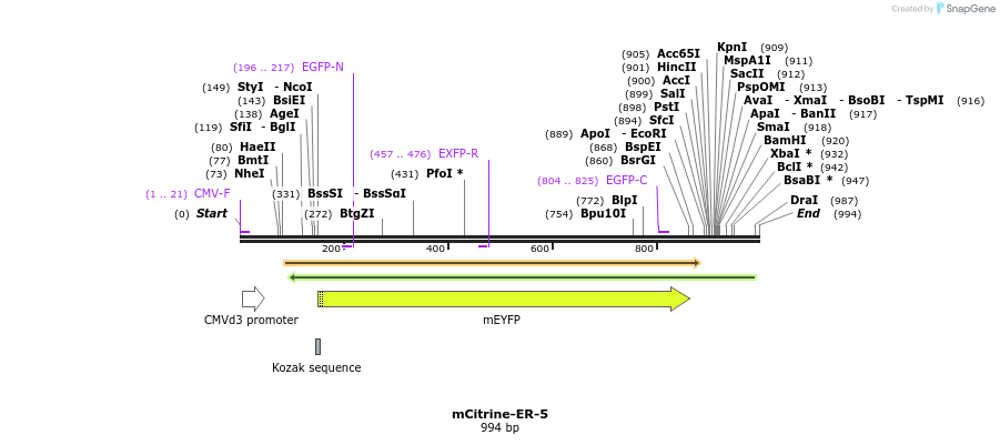 87446_map