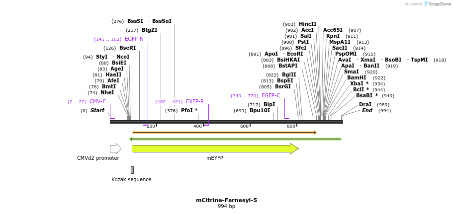 87447_map