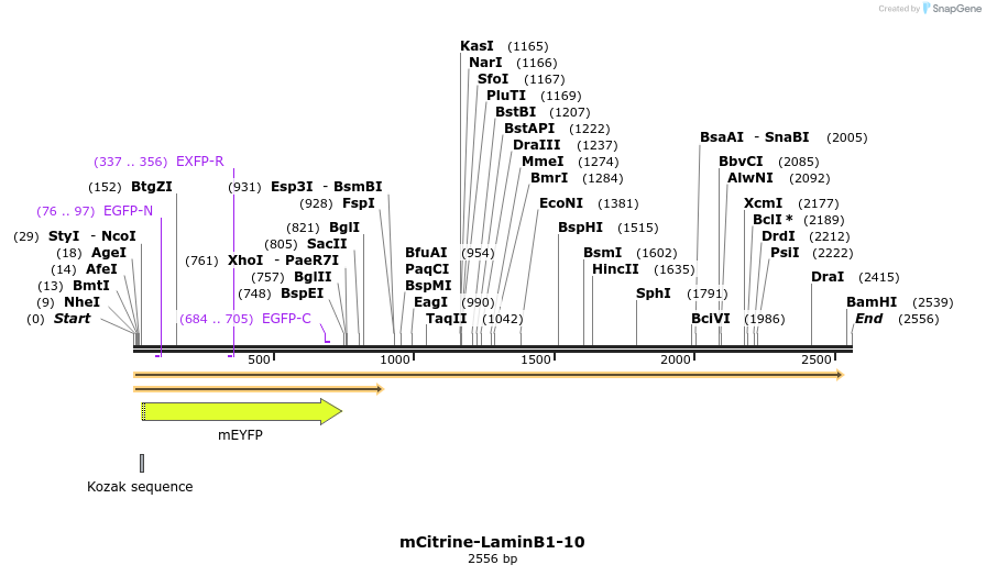 87451_map