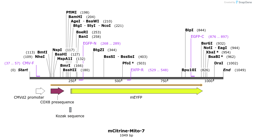 87452_map