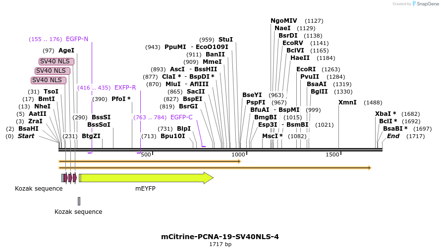 87453_map