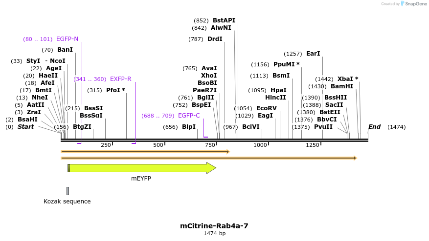 87454_map