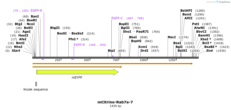 87456_map