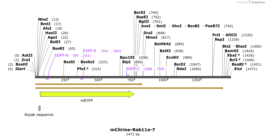 87457_map