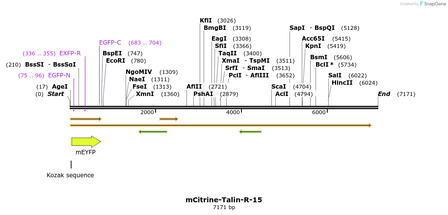 87459_map
