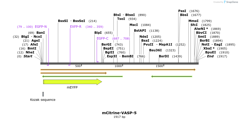 87460_map