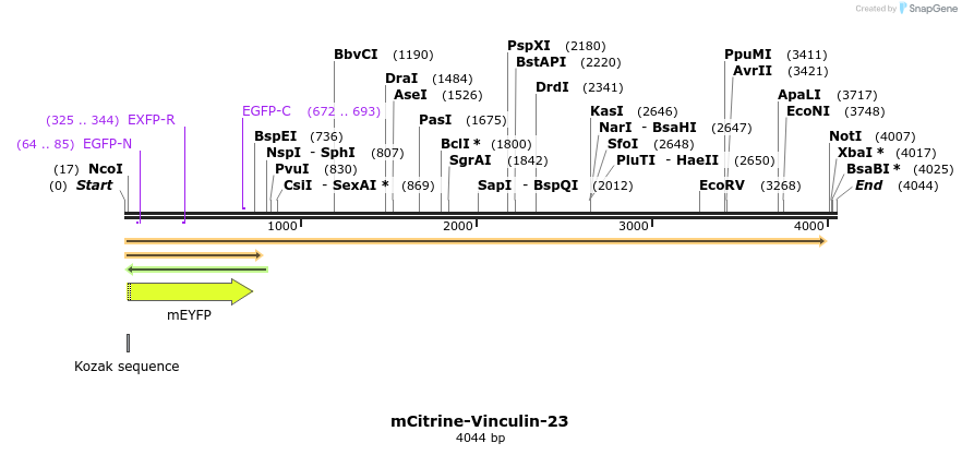87461_map