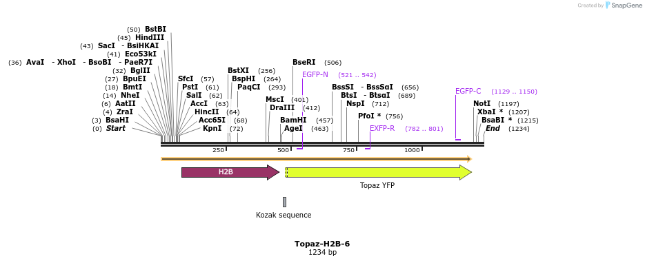 87462_map