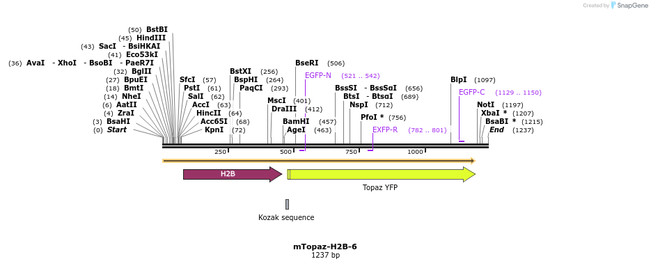 87465_map