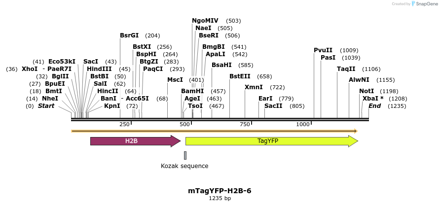 87467_map