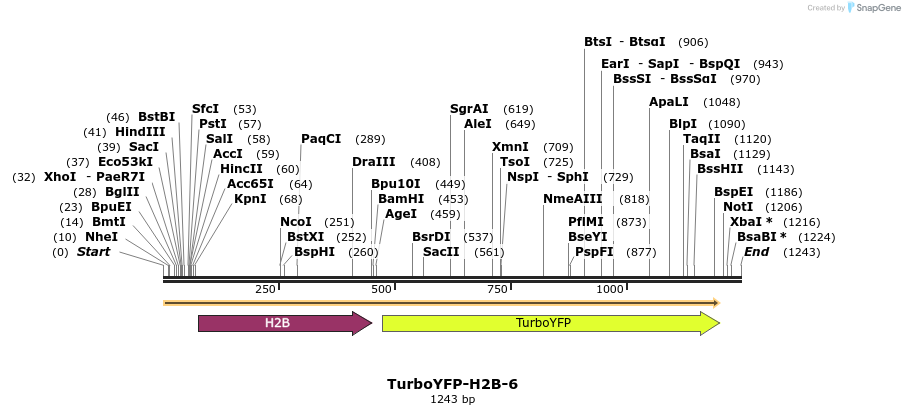 87470_map