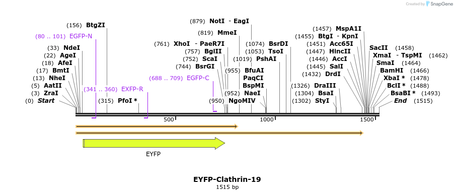 87473_map