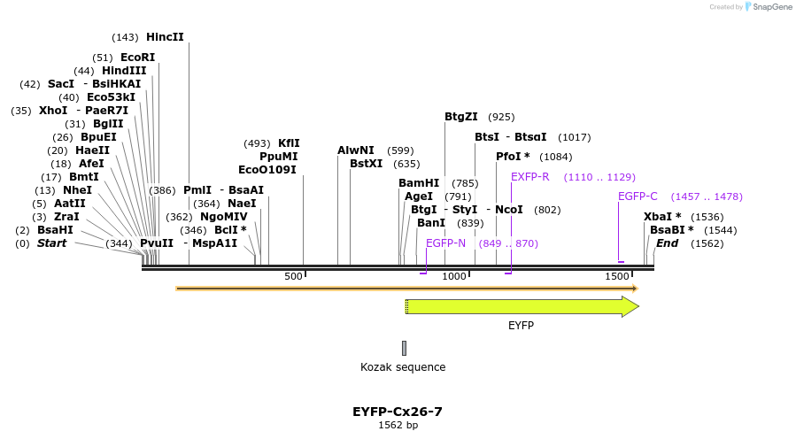 87474_map