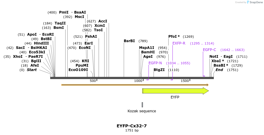 87475_map