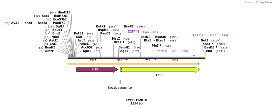 87480_map
