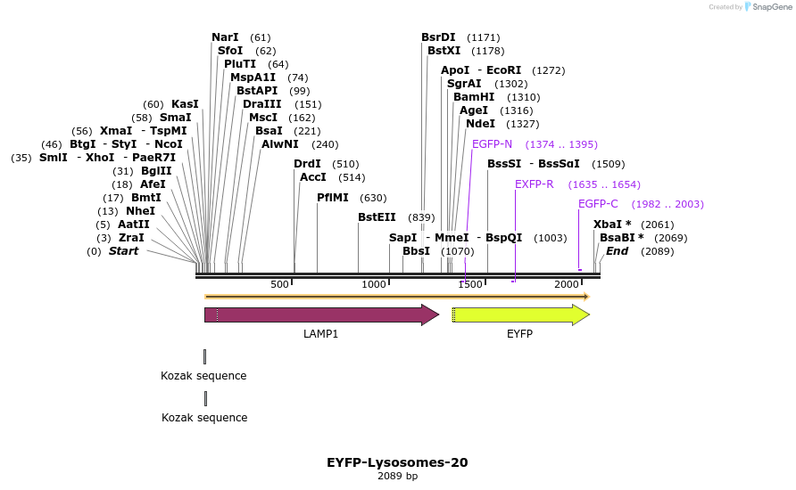87483_map