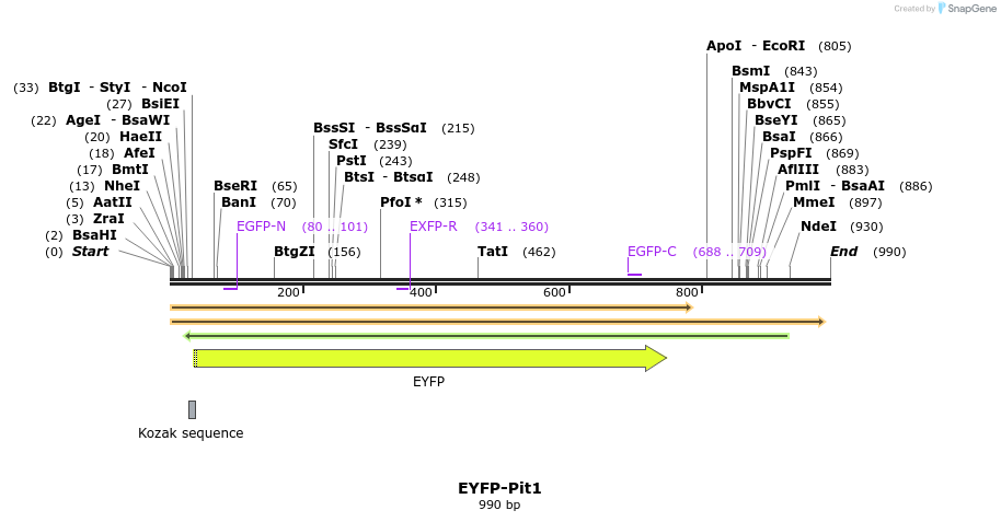 87486_map