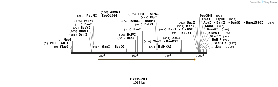 87487_map