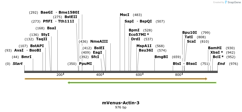87490_map