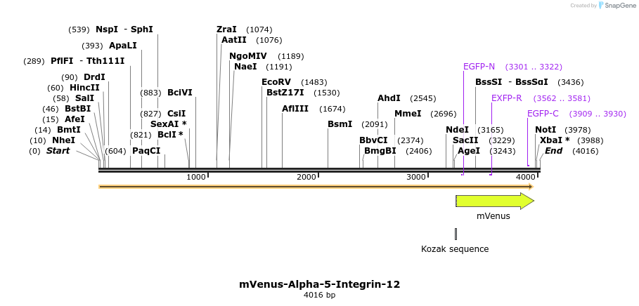 87491_map