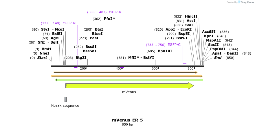 87499_map
