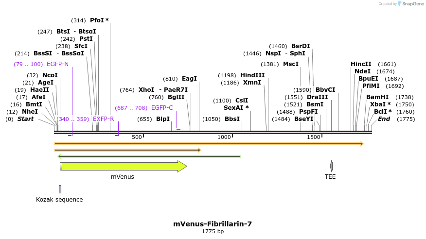 87501_map