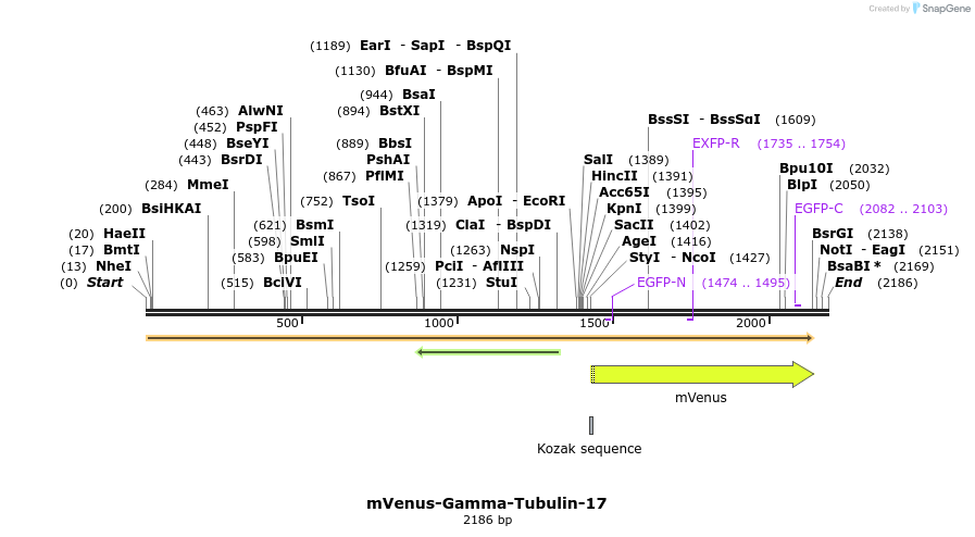87502_map
