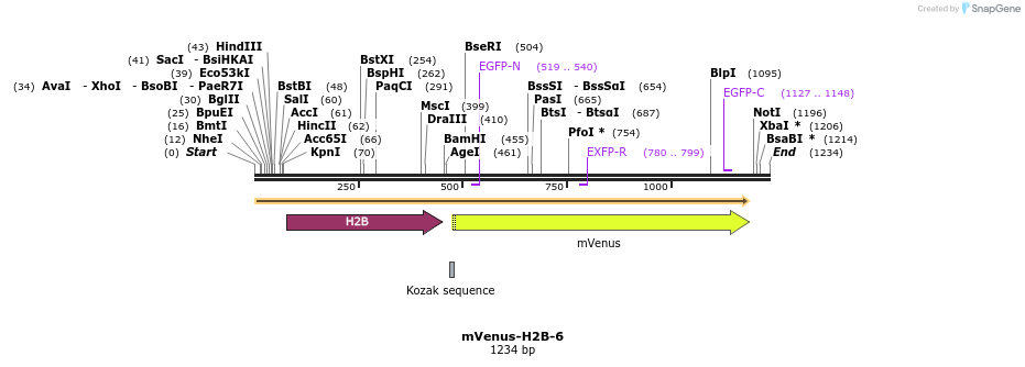 87503_map