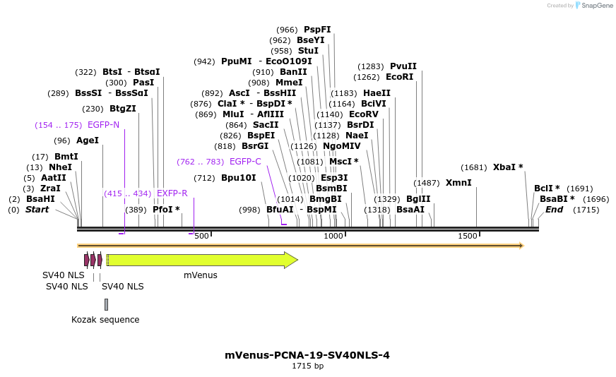 87509_map