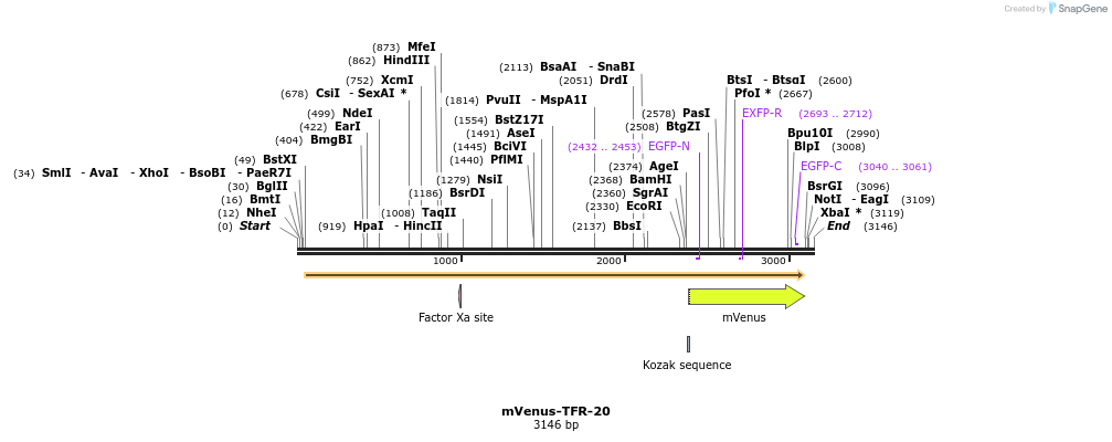 87511_map