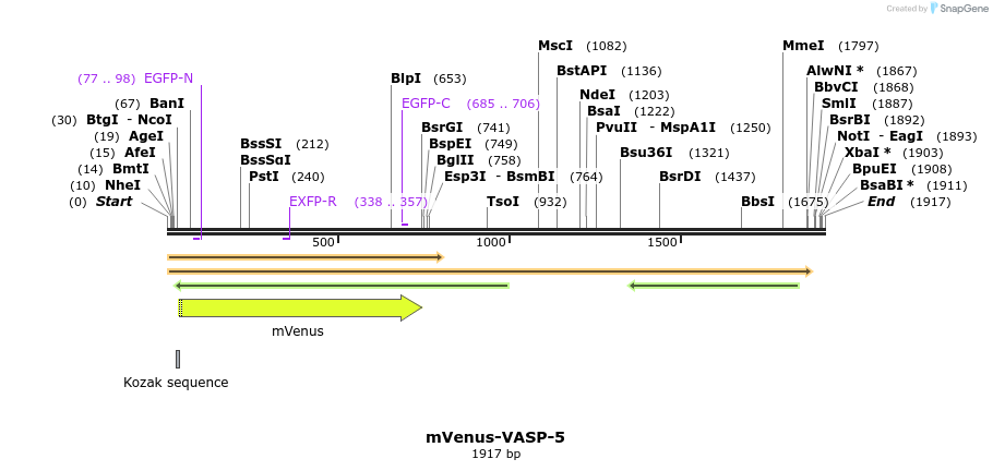 87512_map