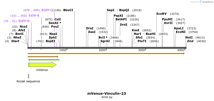 87513_map