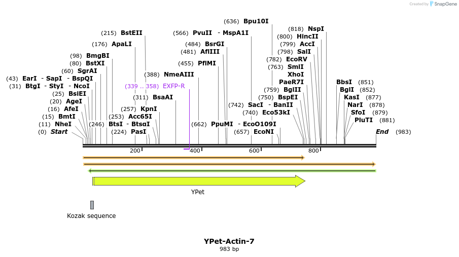 87516_map