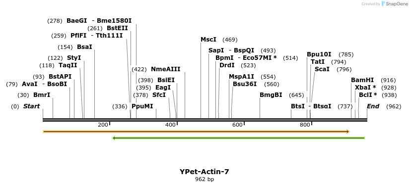 87517_map