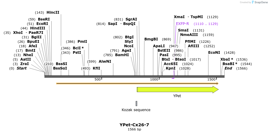 87518_map