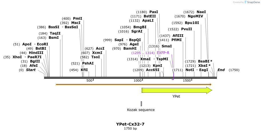 87519_map