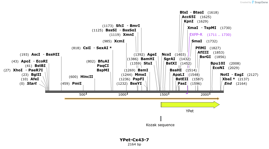 87520_map