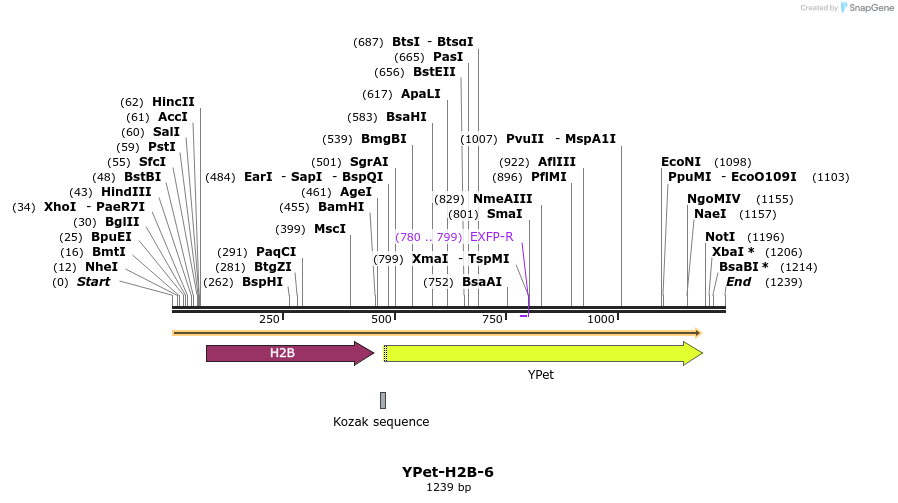 87521_map