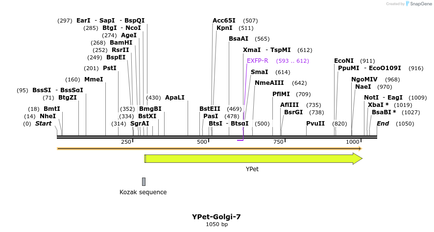 87522_map