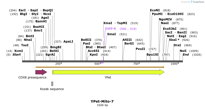 87526_map