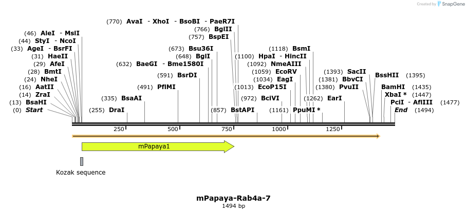 87534_map