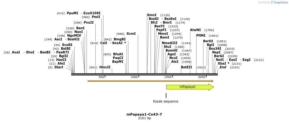 87538_map