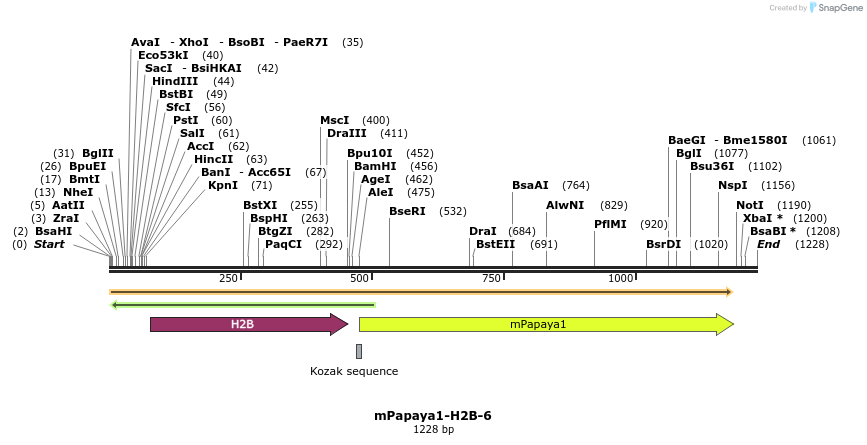 87540_map