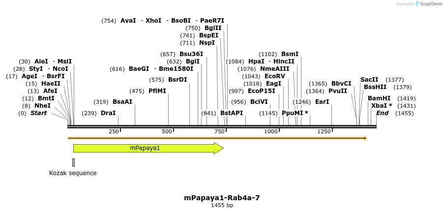 87541_map