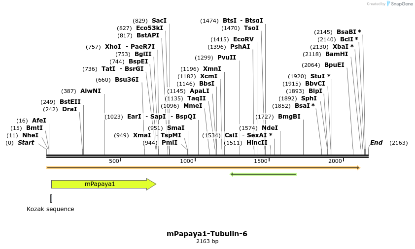 87542_map