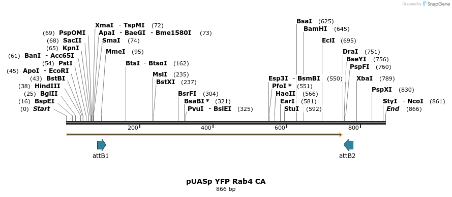 87545_map