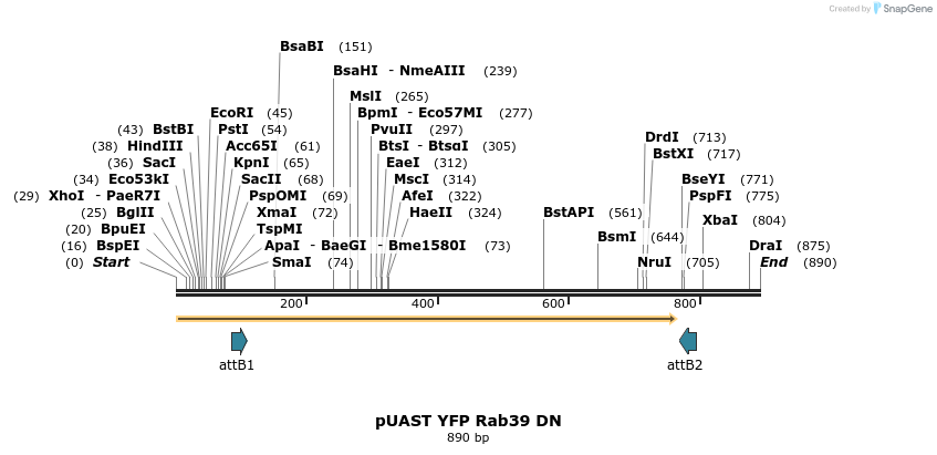 87547_map