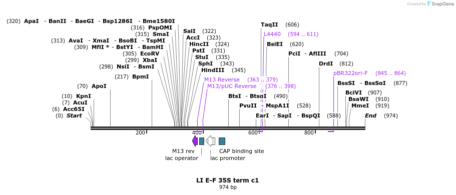 87555_map